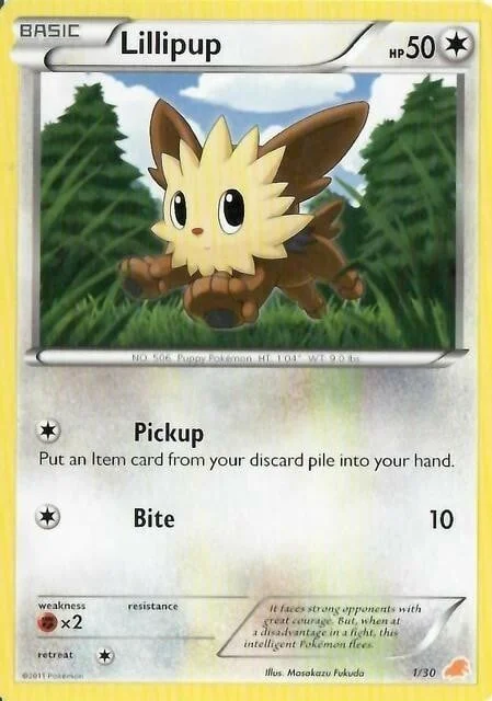Lillipup — BW Trainer Kit Excadrill