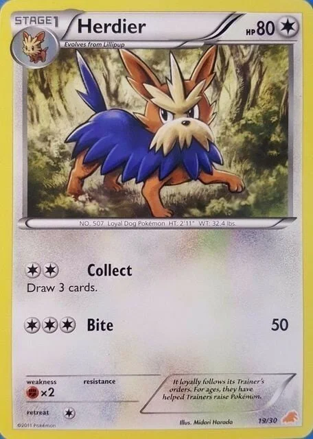 Herdier — BW Trainer Kit Excadrill