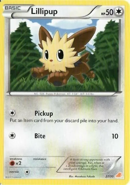 Lillipup — BW Trainer Kit Excadrill