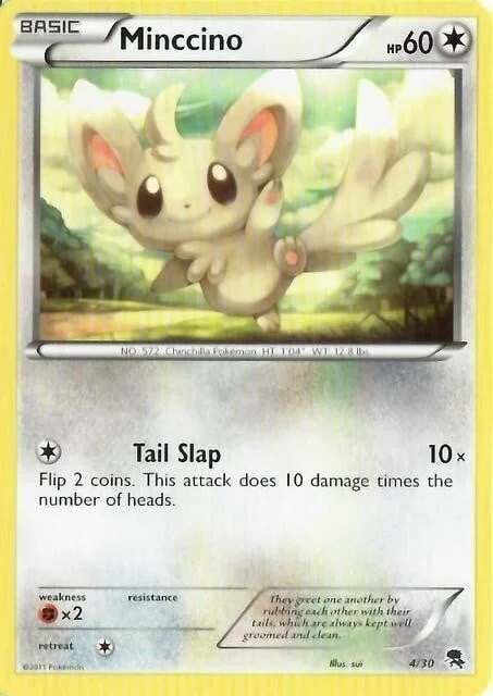 Minccino — BW Trainer Kit Zoroark