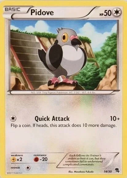 Pidove — BW Trainer Kit Zoroark