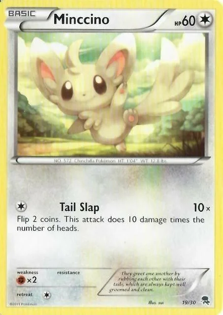 Minccino — BW Trainer Kit Zoroark