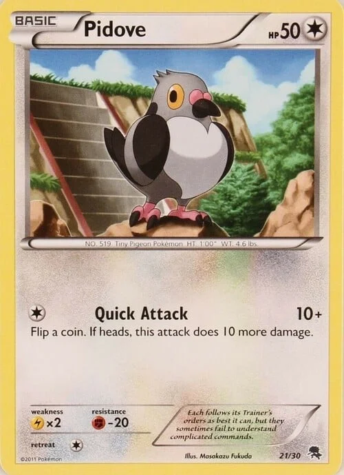 Pidove — BW Trainer Kit Zoroark