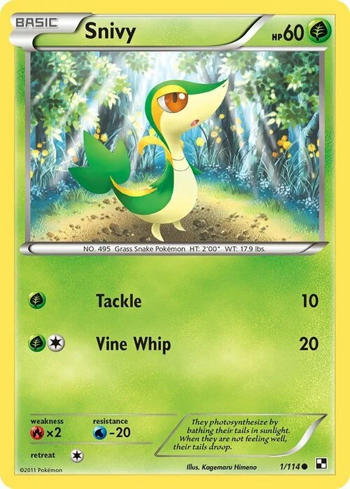 Snivy — Black & White