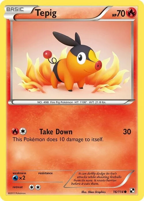 Tepig — Black & White