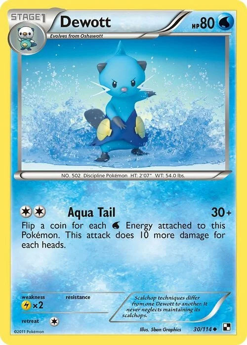 Dewott — Black & White
