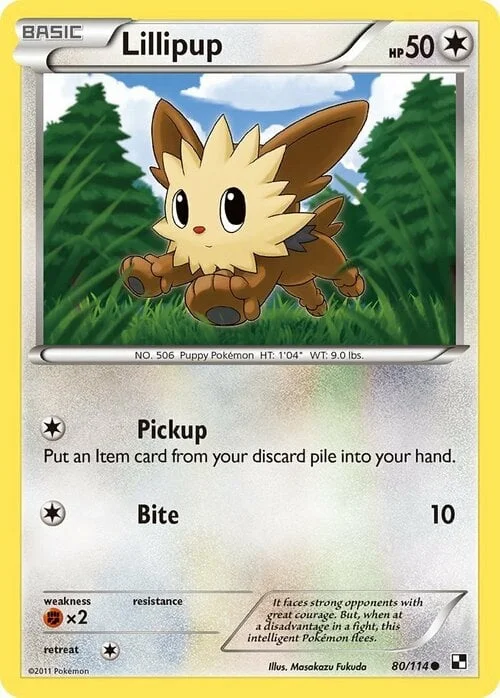 Lillipup — Black & White