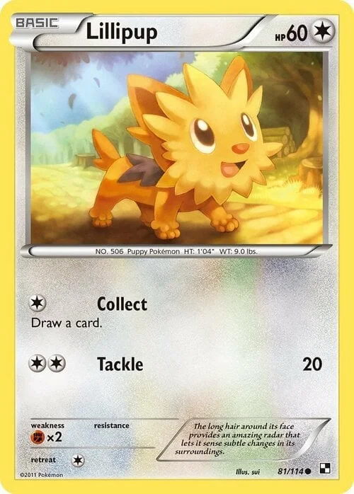 Lillipup — Black & White