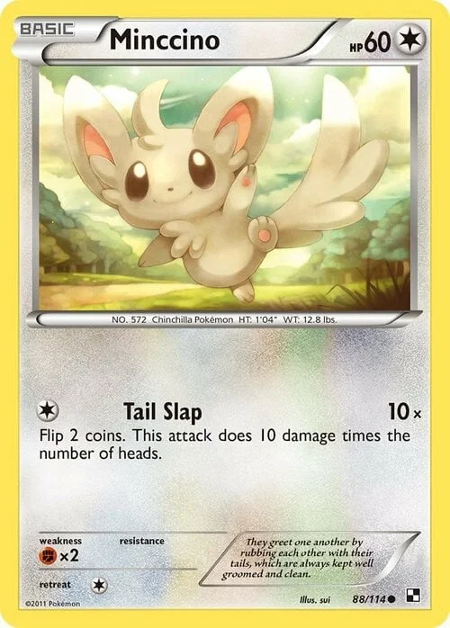 Minccino — Black & White