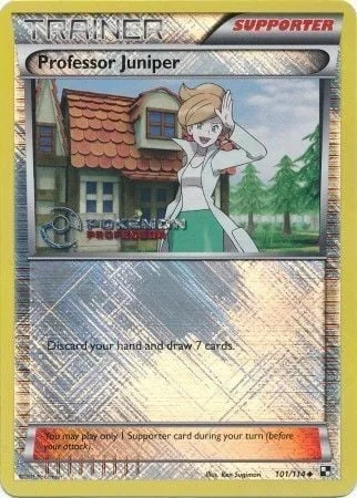 Professor Juniper — Professor Program