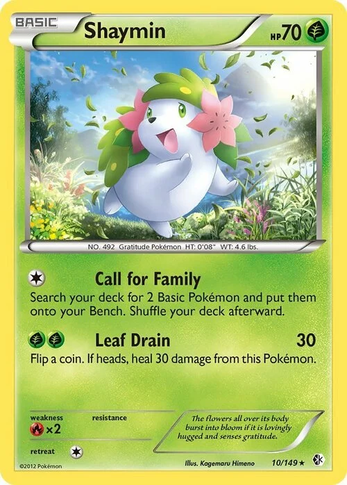 Shaymin — Boundaries Crossed