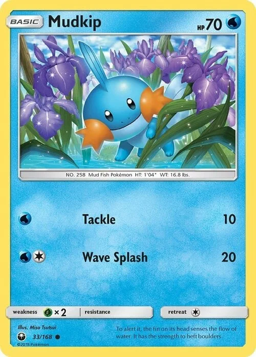 Mudkip — Celestial Storm
