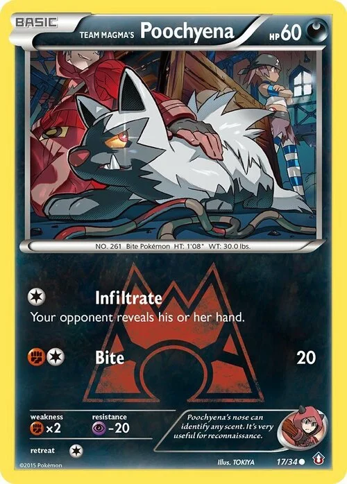 Team Magma's Poochyena — Double Crisis