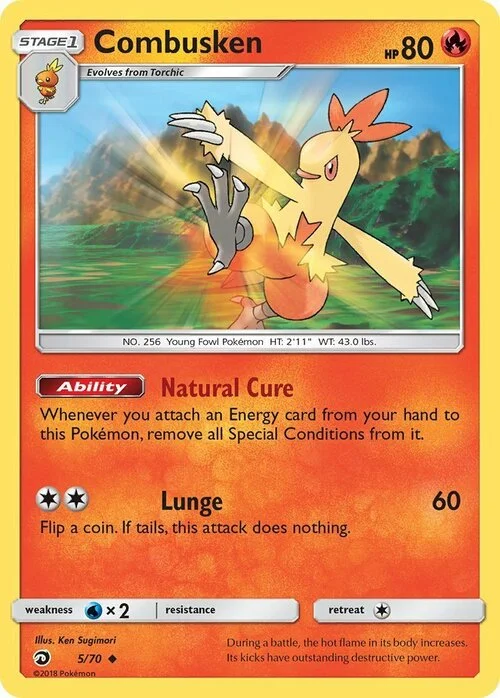Combusken — Dragon Majesty