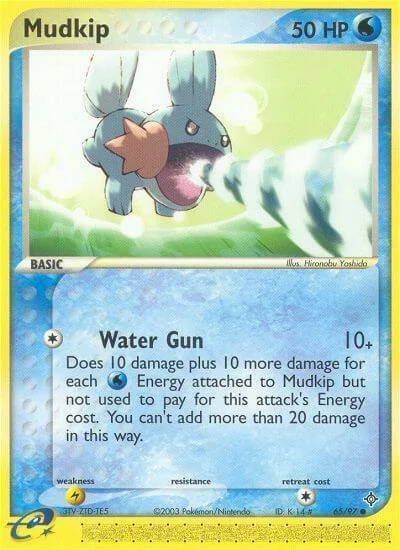 Mudkip — EX Dragon