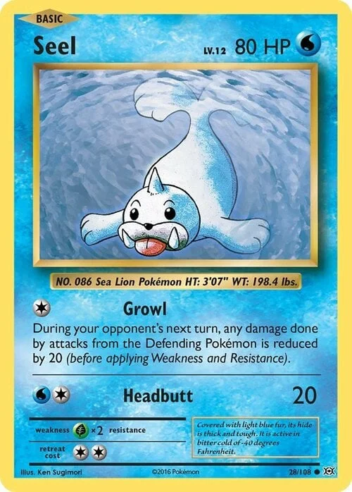Seel — Evolutions