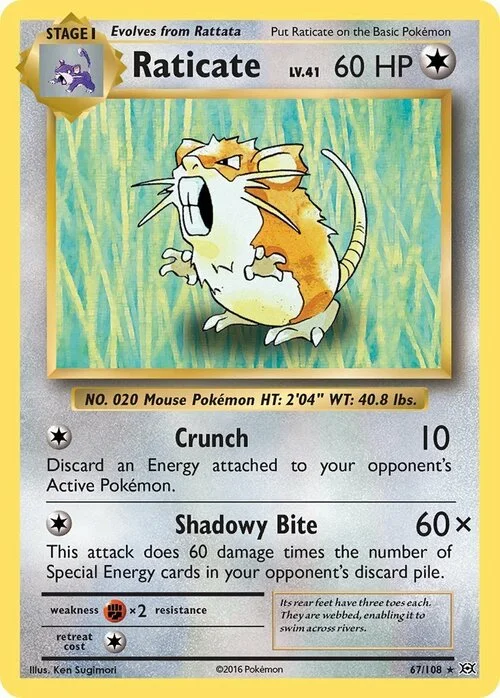 Raticate — Evolutions