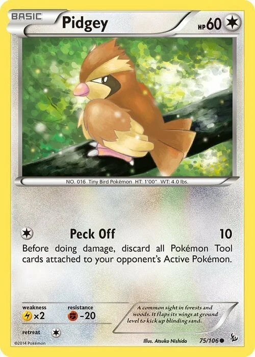 Pidgey — Flashfire