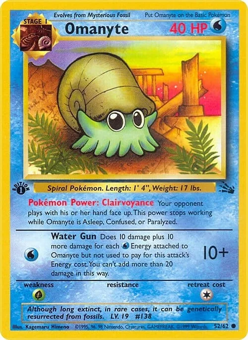 Omanyte — Fossil