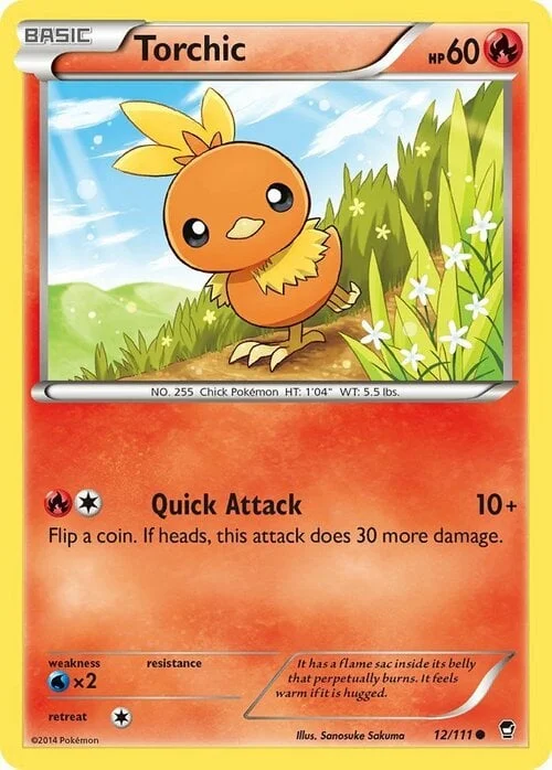 Torchic — Furious Fists