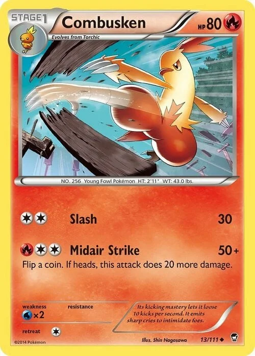 Combusken — Furious Fists