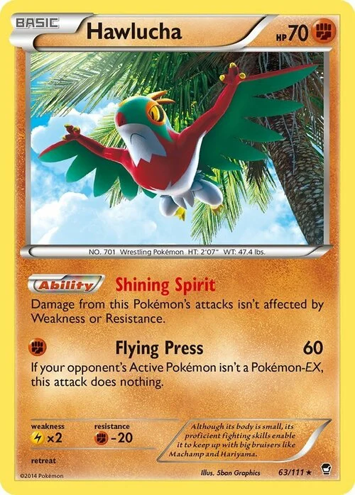 Hawlucha — Furious Fists