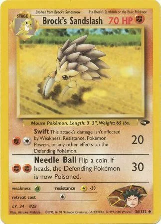 Brock's Sandslash — Gym Challenge