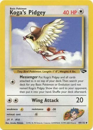 Koga's Pidgey — Gym Challenge