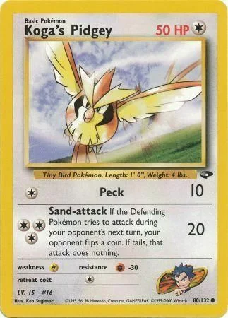 Koga's Pidgey — Gym Challenge