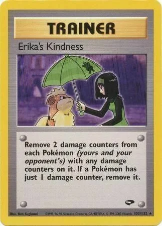 Erika's Kindness — Gym Challenge