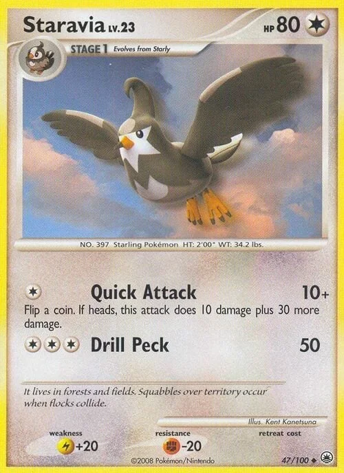 Staravia Lv.23 — Majestic Dawn
