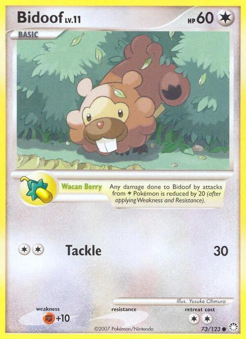 Bidoof Lv.11 — Mysterious Treasures