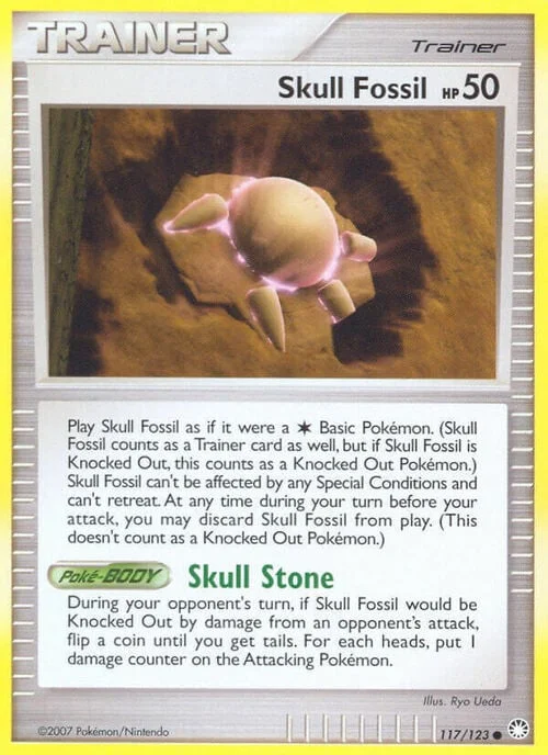 Skull Fossil — Mysterious Treasures