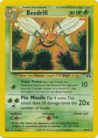Beedrill — Neo Discovery