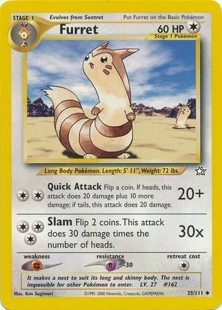 Furret — Neo Genesis