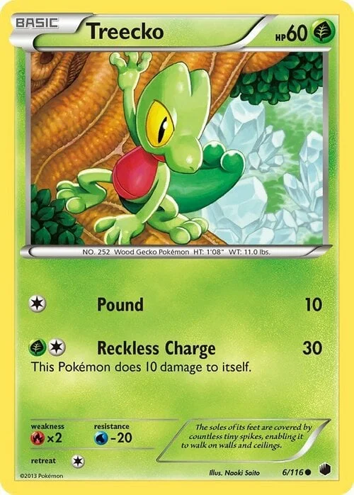 Treecko — Plasma Freeze