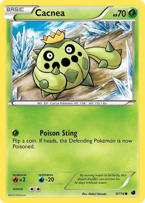 Cacnea — Plasma Freeze