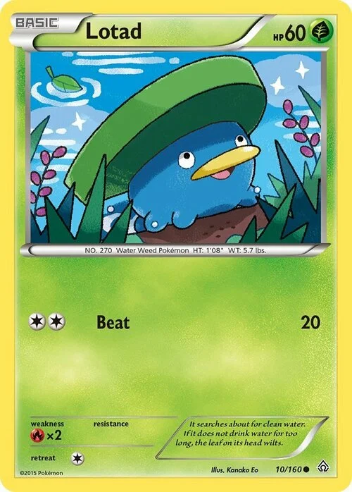 Lotad — Primal Clash