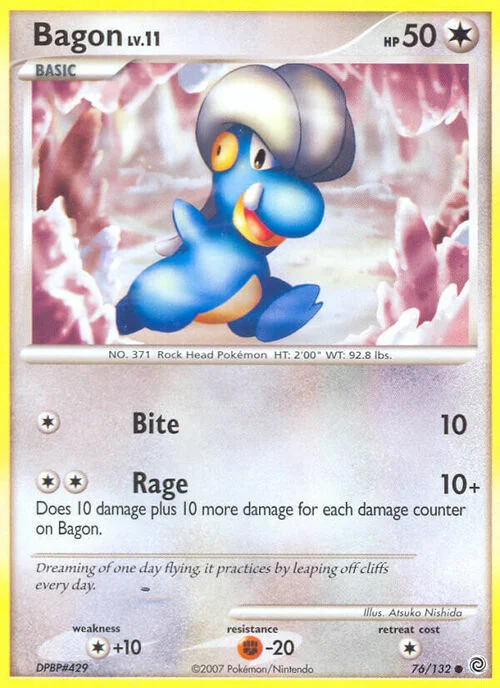 Bagon Lv.11 — Secret Wonders