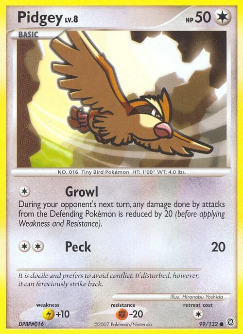 Pidgey Lv.8 — Secret Wonders