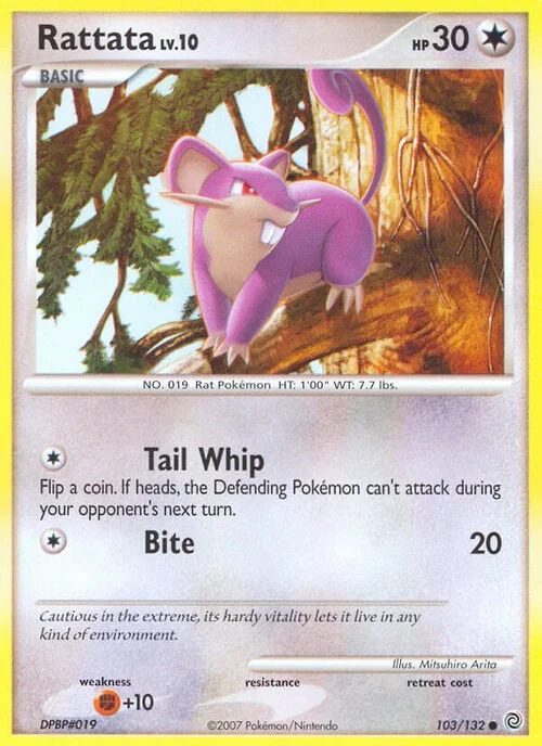 Rattata Lv.10 — Secret Wonders