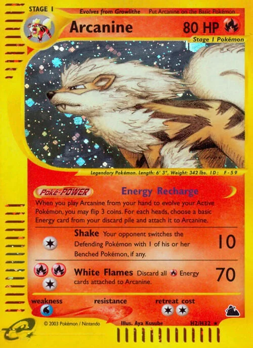 Arcanine — Skyridge