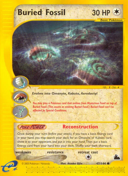 Buried Fossil — Skyridge