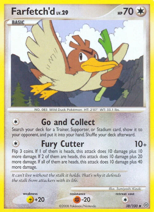 Farfetch'd Lv.29 — Stormfront