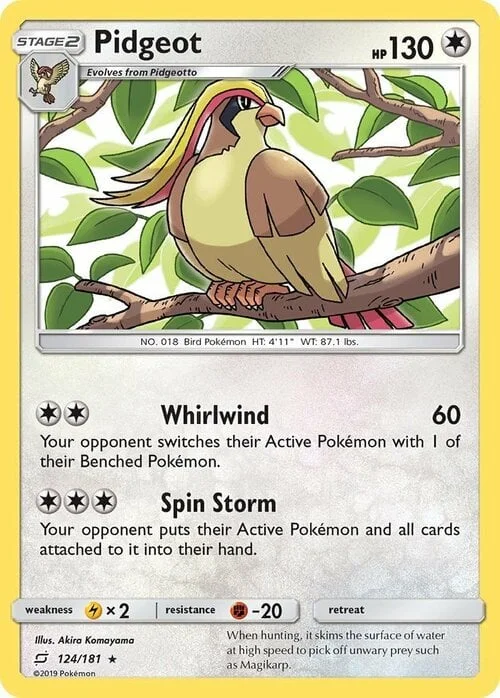 Pidgeot — Team Up