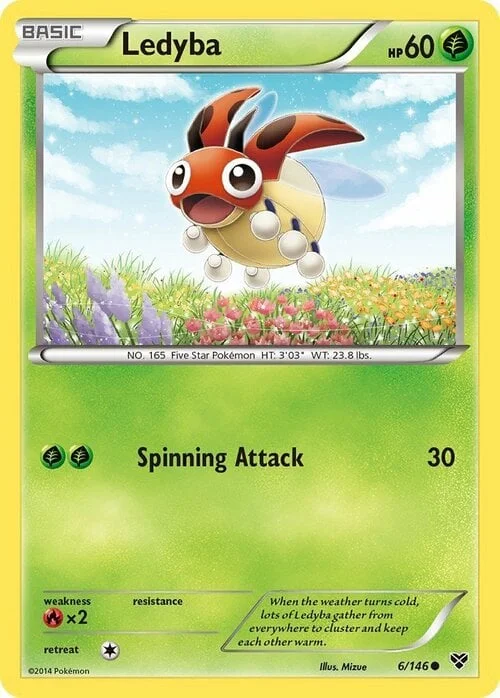 Ledyba — XY