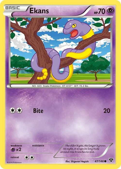 Ekans — XY
