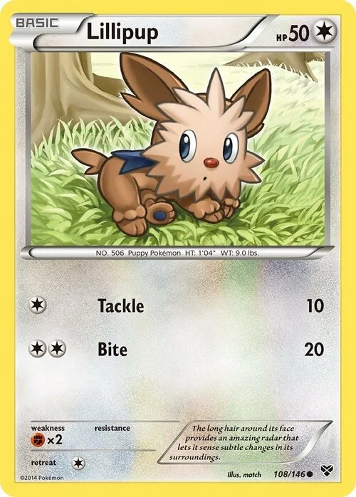 Lillipup — XY