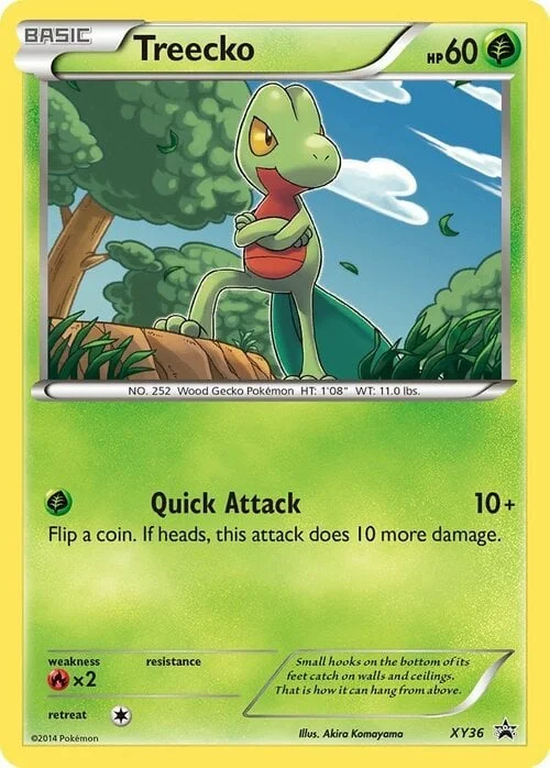 Treecko — XY Black Star Promos