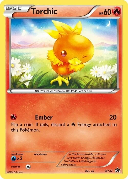 Torchic — XY Black Star Promos